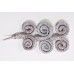 RAMS HORN 6"-8"  White Wash 